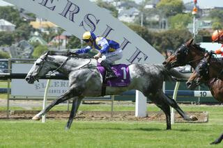 Saint Emilion (NZ) (Mastercraftsman) claims the G3 OMF Stakes at Ellerslie on Melbourne Cup Day.